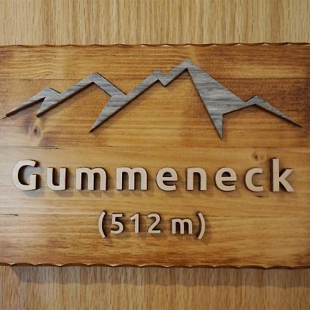 Gummeneck - Stubenhof, Black Forest Зімонсвальд Екстер'єр фото